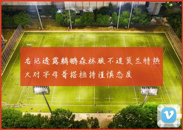 名记透露鹈鹕森林狼不追莫兰特热火对字母哥搭档持谨慎态度