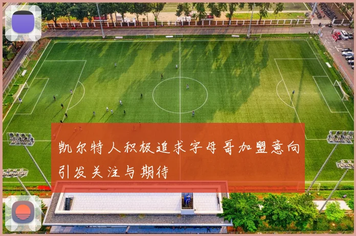 凯尔特人积极追求字母哥加盟意向引发关注与期待