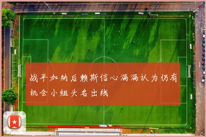 战平加纳后赖斯信心满满认为仍有机会小组头名出线